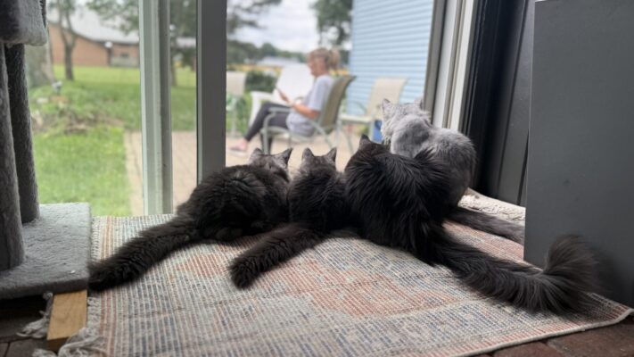 Hanging out with Dad